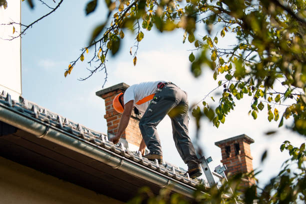 Quick and Trustworthy Emergency Roof Repair Services in Locust Grove, OK