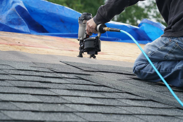 Best Roof Gutter Cleaning  in Locust Grove, OK